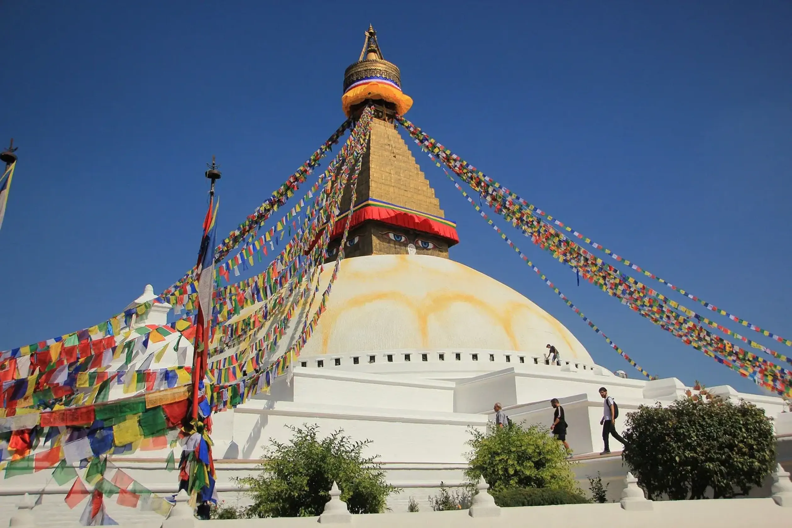 Explore and Experience the Country of Amazing extremes.