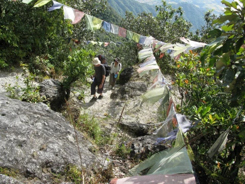Shivapuri Hike via Budhanilkantha