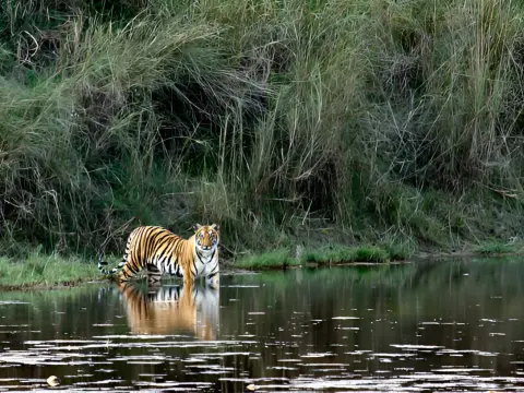 Wilderness in style in Bardiya National Park